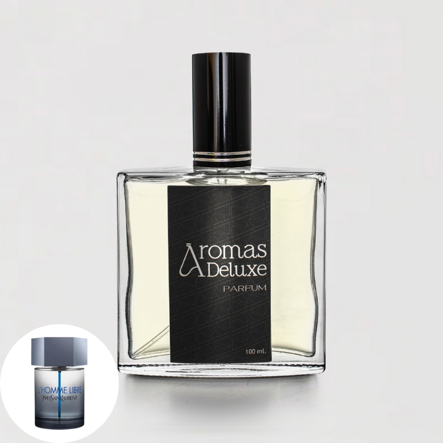 Libre yves saint laurent hombre sale