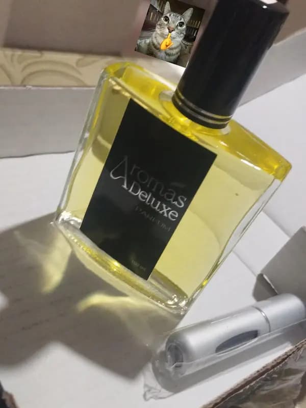 Foto de la reseña de Cristhian Alexander B.