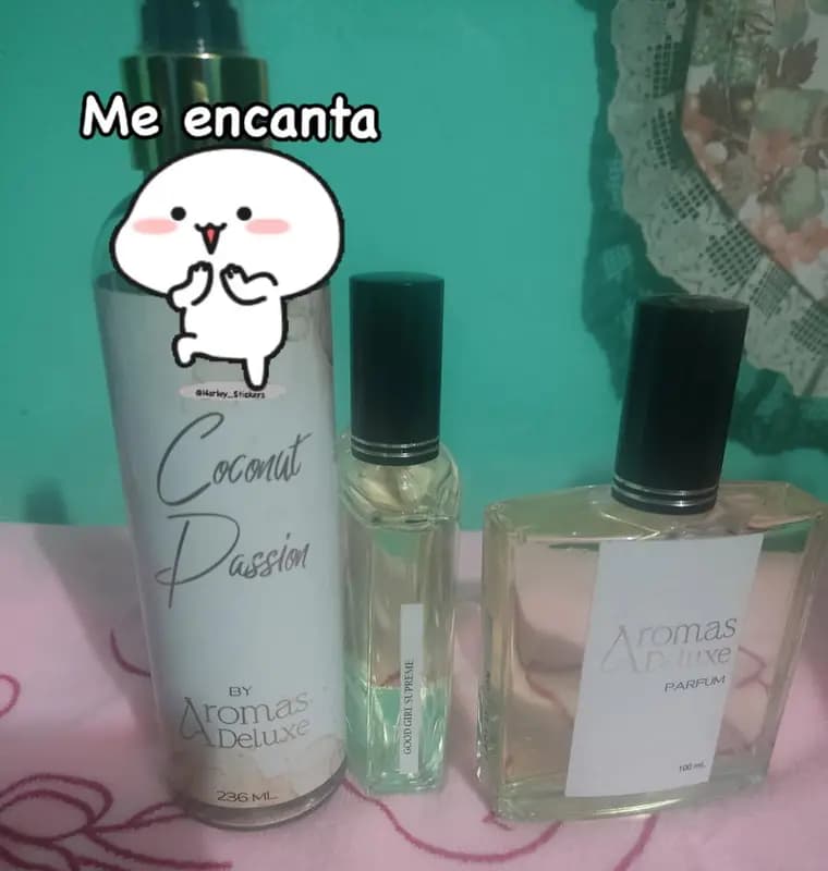 Foto de la reseña de Aracely A.