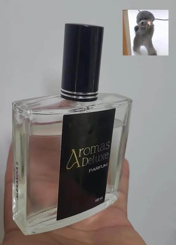 Foto de la reseña de Ricardo B.