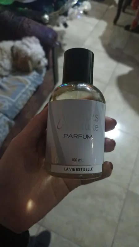 Foto de la reseña de Vanessa Estefanía M.